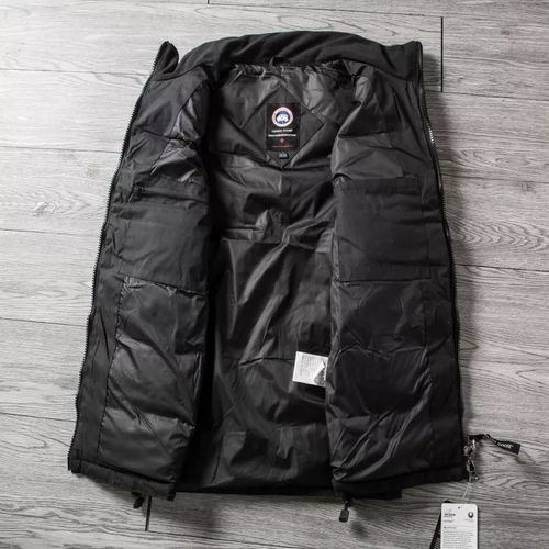 今年啥產(chǎn)品最火,兄弟們知道嗎 大鵝羽絨馬甲