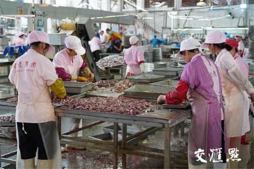 完善生態鏈,拉長產業鏈,扣緊利益鏈 徐州沛縣這樣穩住80億元鴨產業