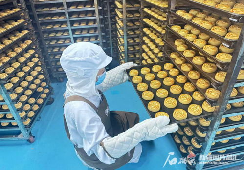 中秋佳節(jié)將至，烏魯木齊食品與羽絨制品企業(yè)雙線并進(jìn)迎忙季